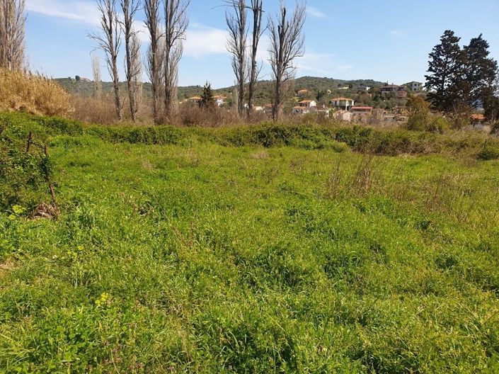 Image No.14-Property for sale