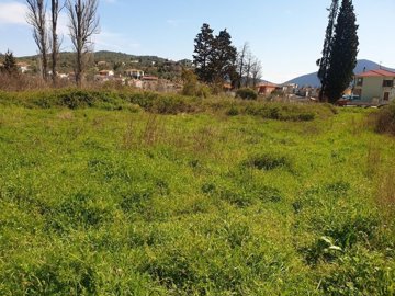 imgb255d5a4-789f-4566-8bbe-17c6b30591a5