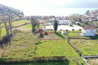 imgbd239b5d-d081-4569-abe2-4d249d4312a8