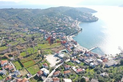 imgb848fb70-5cdc-4de9-a4f6-ffbe7040e92d