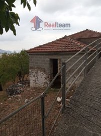 img7504a755-82b0-4a21-8c55-8ac906fd5a7d