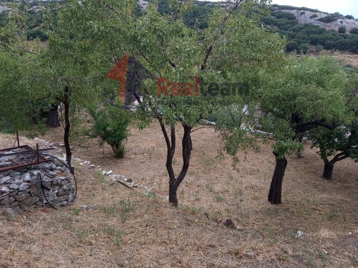 Image No.22-Property for sale