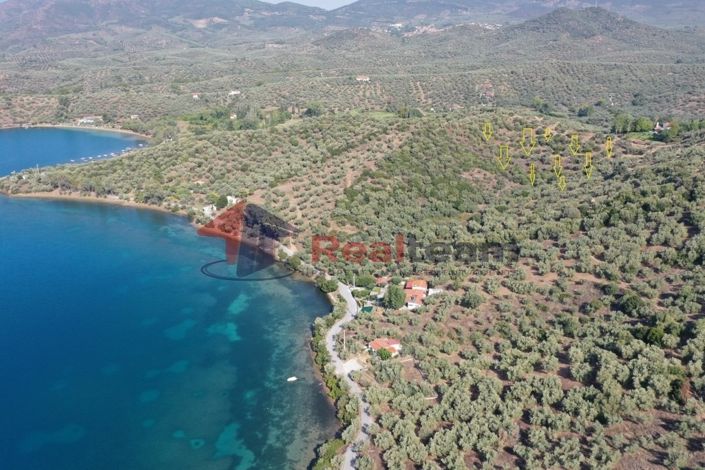 Image No.1-Property for sale