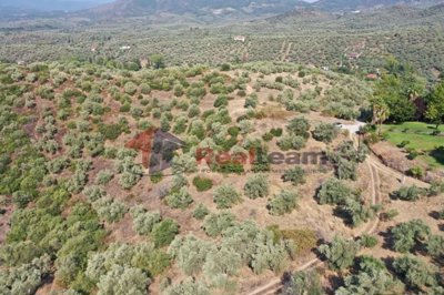 img814ca522-7f7a-422c-ac57-efe215285bd3