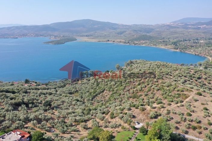 Image No.11-Property for sale