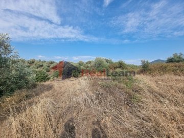 img4c9d27e2-d6d6-491a-ad09-3b746cdfd371