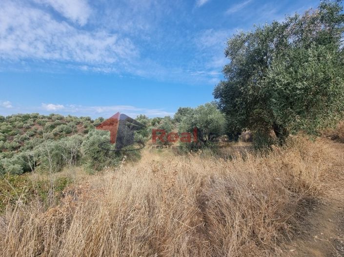 Image No.16-Property for sale