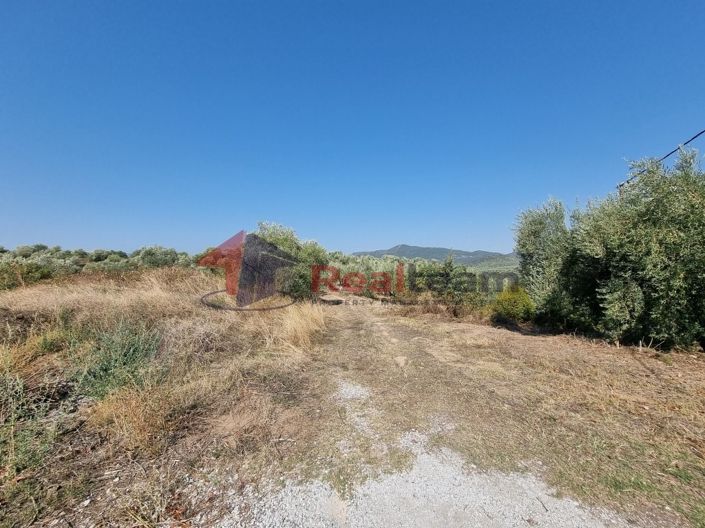 Image No.17-Property for sale