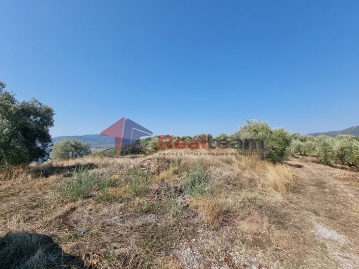 Image No.18-Property for sale