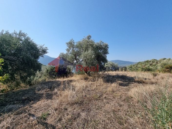 Image No.19-Property for sale