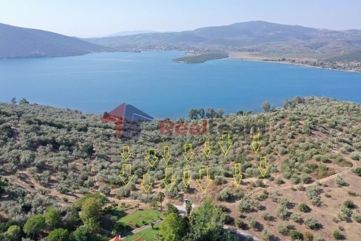 Image No.2-Property for sale