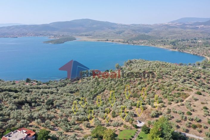 Image No.3-Property for sale