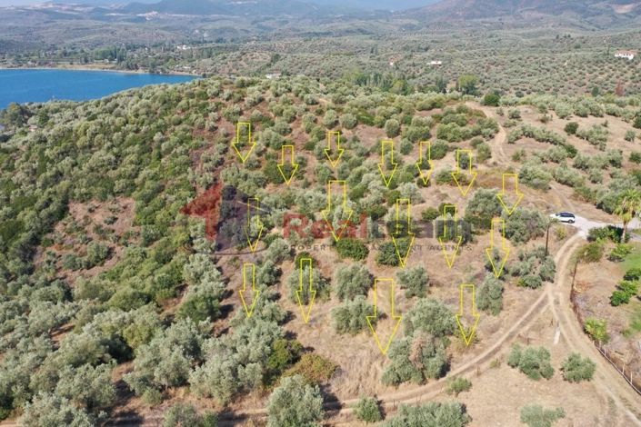 Image No.4-Property for sale