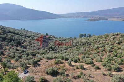 img3f6b3e6a-568e-4388-be59-8a428025f04d