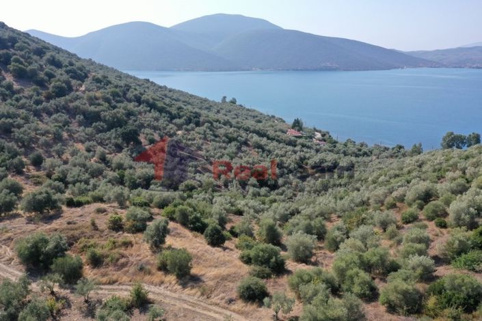 Image No.8-Property for sale