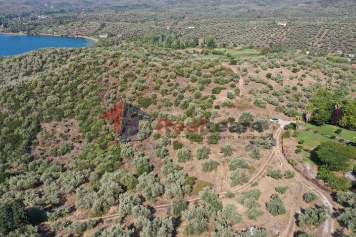 Image No.9-Property for sale