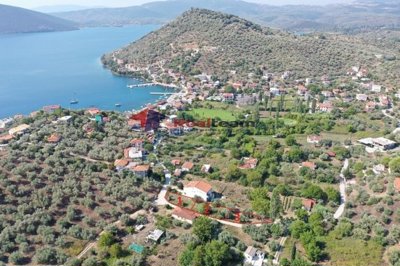 imga27a27de-a281-457e-b2b7-03fa4d379b66