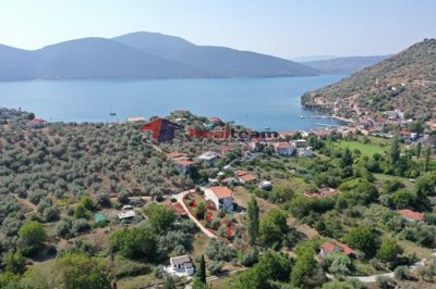 img7e420f05-a063-4fe6-b6bd-ed41e26ddfad