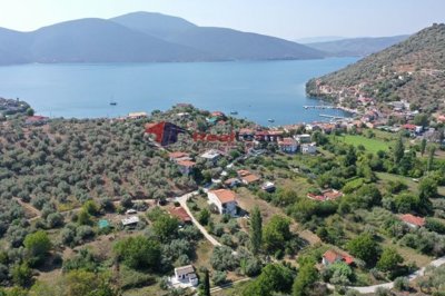 img84c029cd-0eb5-4d82-9148-dd5a2cec4920