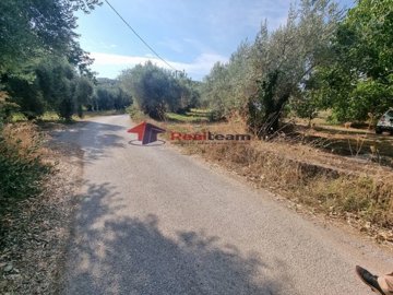 img614f84f2-4828-4b59-b6c7-a825876a005c