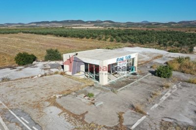 imgf724227d-3ad1-4d27-be4e-d6296a962555