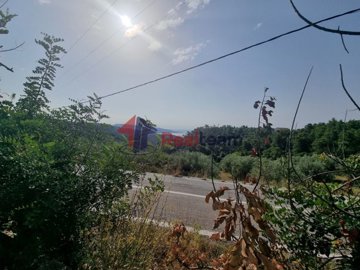 img1a993d81-8b3c-4545-9fbe-039634010de6