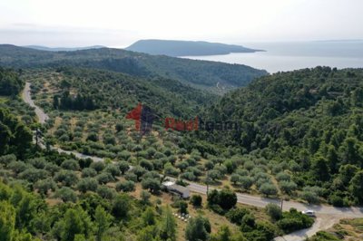 imgd7144718-4c0f-4d5c-aadd-540edd63be96