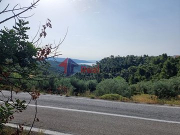 img3284cd87-dca8-4472-a50d-af991992467e