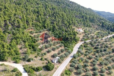 img7263cdc8-1524-449a-a942-9fb9c02087a7