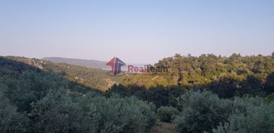 img445688a5-bd7a-4684-8f41-0790962a6b28