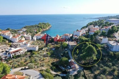 imge1de3516-7bab-4bf0-ba75-084c13e4cb5d