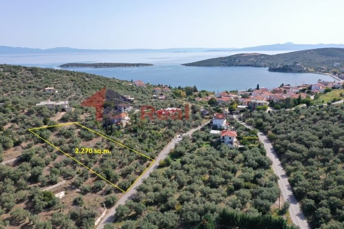 Image No.1-Property for sale