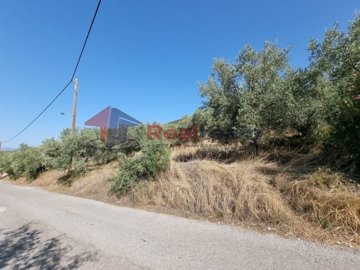 img21397164-eba9-49af-9284-9a14fa3930ee