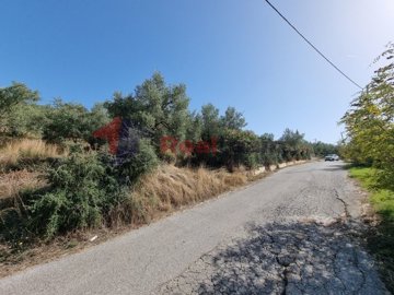 img0d0f4db4-c604-463e-aa80-dbb856a2c342