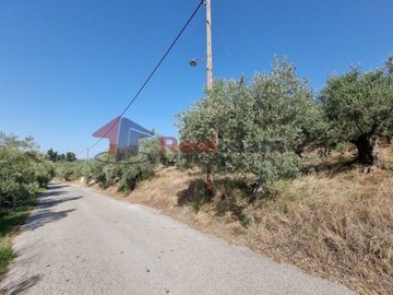 img64d1515a-4f6e-42ee-adc0-4752d6a84323