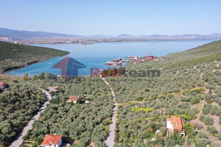 Image No.2-Property for sale