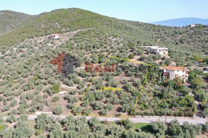 Image No.3-Property for sale