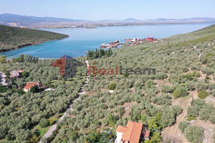 Image No.4-Property for sale