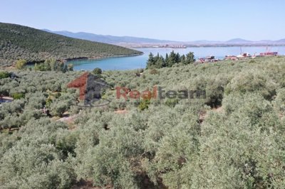 img638d79b5-9000-4d79-9b82-848493793731