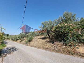 img60cfab3f-88a7-44d8-b23f-46aa37896ce5