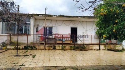 imgd2a5d4bf-d8a5-4805-8edd-5d9ff42005fe