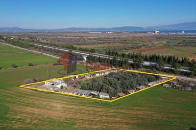 img4381b0ce-0bda-4a27-b400-dab9c94d26bc