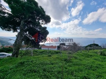 img7f58e372-da21-4c98-8fd0-564c5f3094be