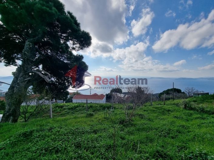 Image No.11-Property for sale