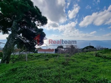 img6da53e8e-a9cd-4363-9921-b45114bd4f7d