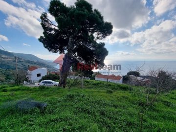 imgc60c644a-4d1b-46e5-8a44-78de50c90f6e