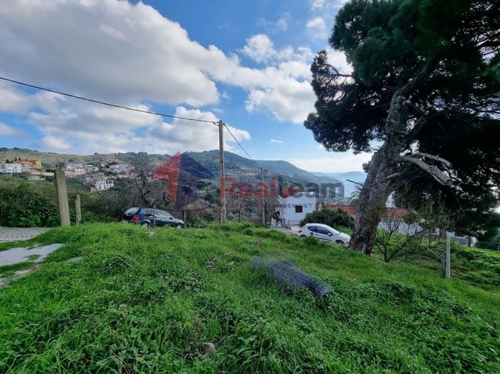 Image No.14-Property for sale