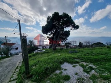 imgde1e94b7-309e-4871-a399-c527087e5079