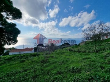 imgec70fd05-37f1-4a45-b559-2cb99a23503e