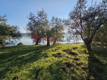 imga8143b18-43af-4374-924d-f49191900088